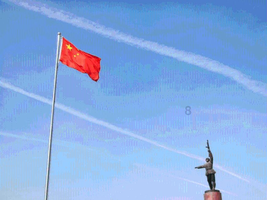 救援卷耳兔