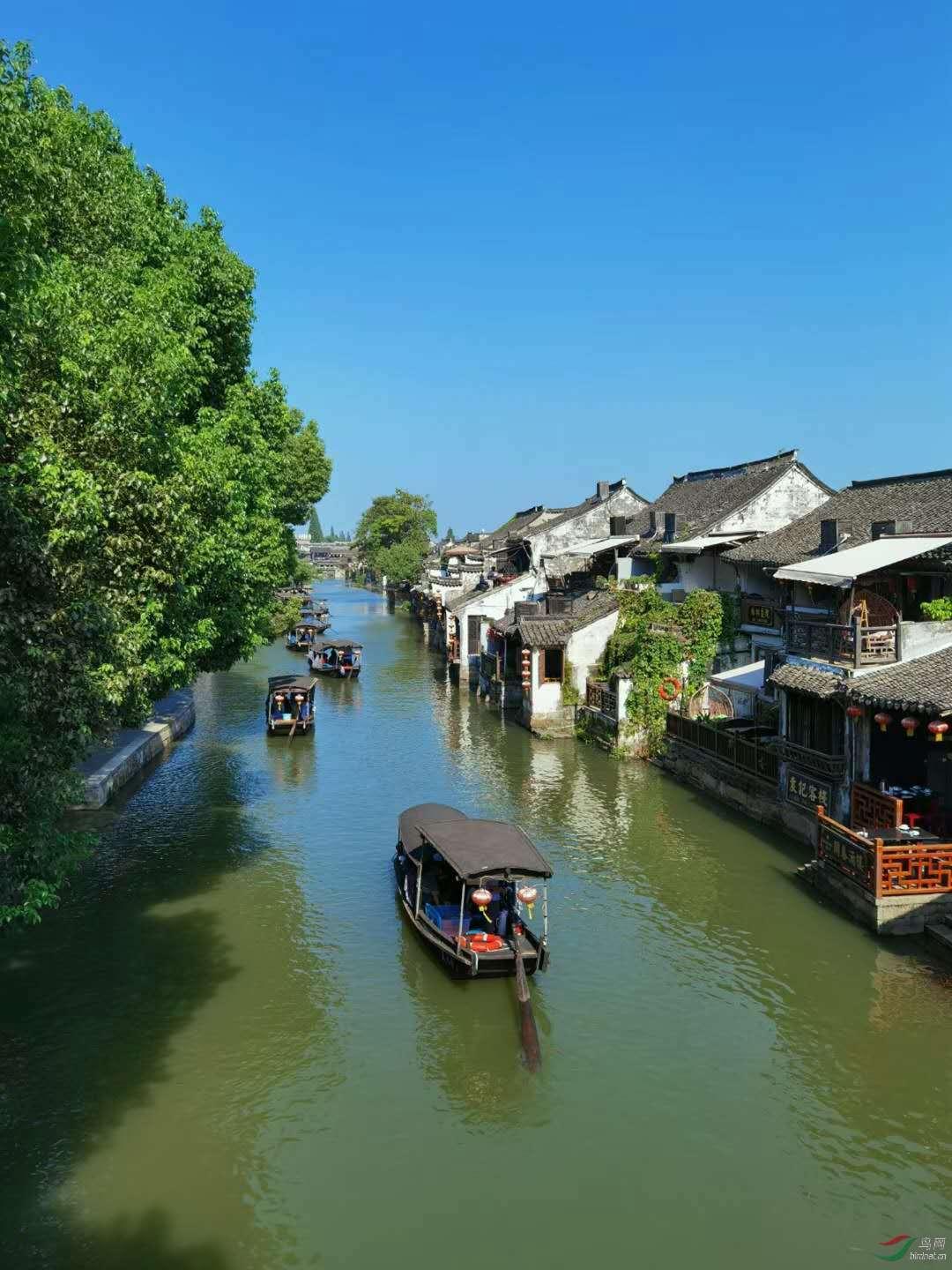 老脱发怎么办？游戏画面